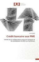 Crédit Bancaire Aux Pme