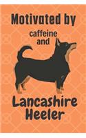 Motivated by caffeine and Lancashire Heeler: For Lancashire Heeler Dog Fans