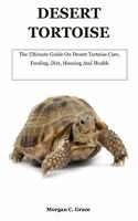 Desert Tortoise