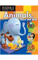 Reading 2011 Sidewalks Student Reader (Single Copy) Grade 1.5