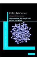 Molecular Clusters