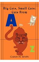 Big Cats, Small Cats