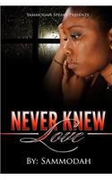 Never Knew Love