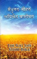 Punjabi Full Life Study Bible (Hardbound)