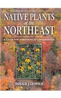 Native Plants of the Northeast