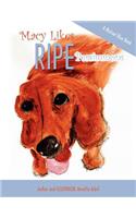 Macy Likes RIPE Persimmons
