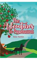 Adventures to Pawnassus