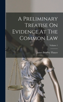 Preliminary Treatise On Evidence At The Common Law; Volume 1