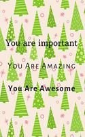 You Are Important You Are Amazing You Are Awesome