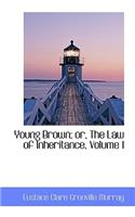 Young Brown; Or, the Law of Inheritance, Volume I