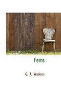 Ferns