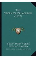 The Story Of Princeton (1917)