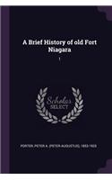 Brief History of old Fort Niagara