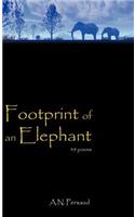Footprint of an Elephant