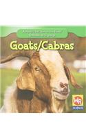 Goats / Las Cabras