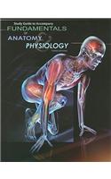 Study Guide for Rizzo's Fundamentals of Anatomy and Physiology, 3rd