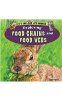 Exploring Food Chains and Food Webs