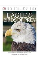 DK Eyewitness Books: Eagle and Birds of Prey: Discover the World of Birds of Prey How They Grow, Fly, Live, and Hunt