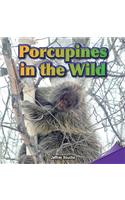 Porcupines in the Wild