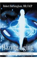 Hazing Aging: How Capillary Endothelia Control Inflammation and Aging