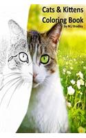 Cats & Kittens
