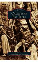 Calaveras Big Trees
