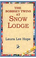The Bobbsey Twins at Snow Lodge
