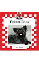 Yorkie-Poos