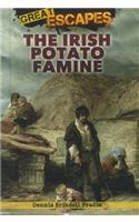Irish Potato Famine