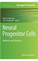 Neural Progenitor Cells