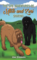 The Life Adventures of Mtoto and Zuri - Sharing