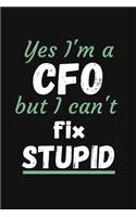 Yes I'm a CFO But I Can't Fix Stupid