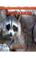 Raton-Laveur