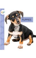 Puppies