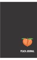 peach journal: small lined Peach Notebook / Travel Journal to write in (6'' x 9'') 120 pages