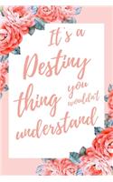 It's a Destiny Thing You Wouldn't Understand: 6x9 Lined Notebook/Journal Funny Gift Idea