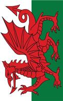 2019 - 2020 18 Month Weekly Planner: (Welsh Dragon Planner)