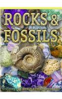 Rocks and Fossils