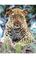 Leopard Journal