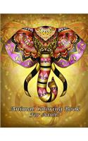 Animal Coloring Book For Adults