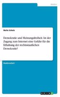 Demokratie und Meinungsfreiheit. Ist der Zugang zum Internet eine Gefahr für die Erhaltung der rechtsstaatlichen Demokratie?