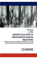 Boron Dilution in Pressurizer Water Reactors