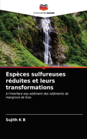 Espèces sulfureuses réduites et leurs transformations