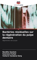 Bactéries résiduelles sur la régénération du pulpe dentaire