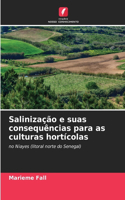 Salinização e suas consequências para as culturas hortícolas
