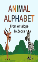 Animal Alphabet