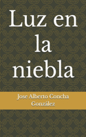 Luz en la niebla