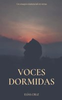 Voces Dormidas: Un ensayo existencial en verso