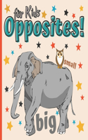Opposites Book for Kids