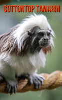 Cottontop Tamarin: Beautiful Pictures & Interesting Facts Children Book About Cottontop Tamarin